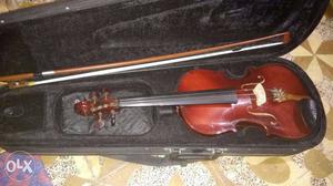 This violin 6 month old,And good condition