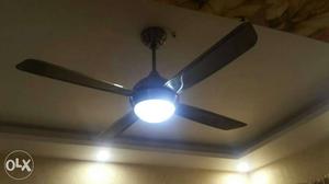 Havells Avion Ceiling Fan fully Remote Control