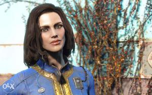 Marvelous Fallout 4 for computer only for rs 250