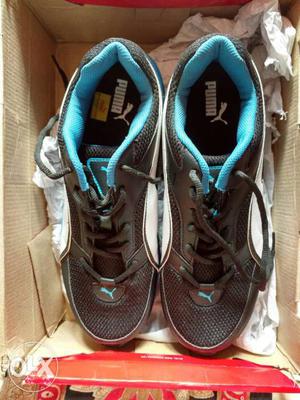 Puma running shoe black and blue colour combination
