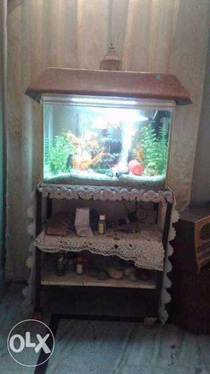 Large fish tank with 30 fishes filter light fountain n