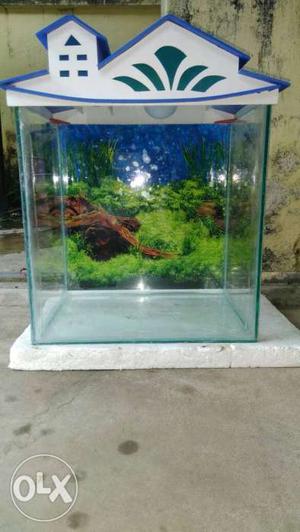 Mini aquarium 1ft *1ft with filter multi colour