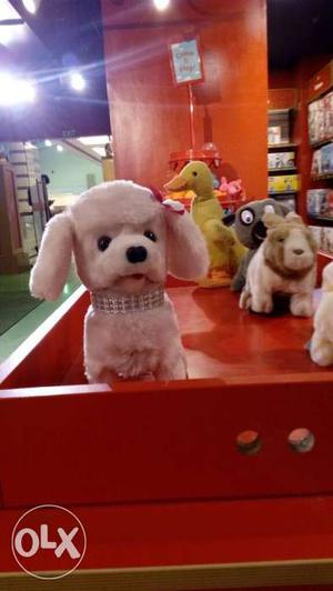 White Toy Poodle Plush Toy