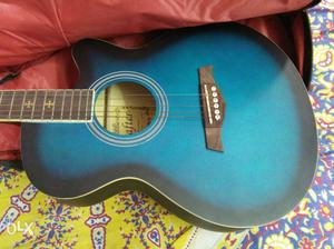 Blue Burs Les Paul Acoustic Guitar