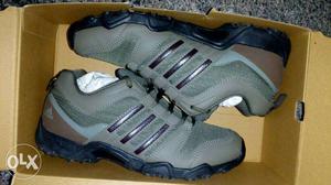 Gray-and-blue Adidas Running Shoes