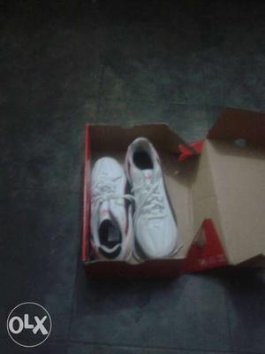 White Low Top Sneakers In Box
