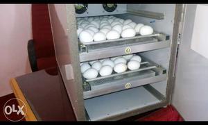 Egg incubators with german technology