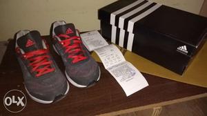 Gray-red-and-white Adidas Sneaker With Box