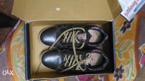 Lee cooper casual shoe..6month old 1 year