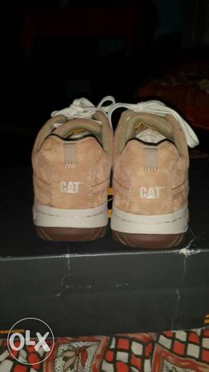 Pair Of Brown-and-white Cat Low Top Sneakers On Box