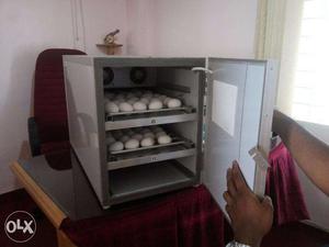 Powersol egg incubators hatching of bird eggs