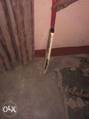 Beige And Red Cricket Bat