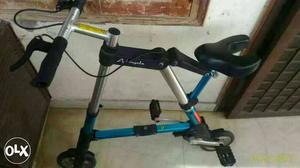 Black and blue folding bicycle