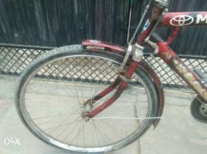 Nova cycle in Bugana