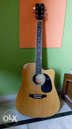 Pluto Jumbo Acoustic Guitar with 5-channel equalizer