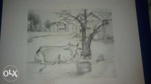 Water Buffalo Beside Tree Sketch