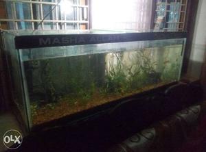 4feet - inch fish tank