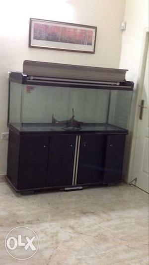 5' x2x2 size, good condition fish tank for sale.