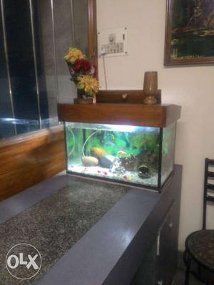 Aquarium with wooden teak cover along with all
