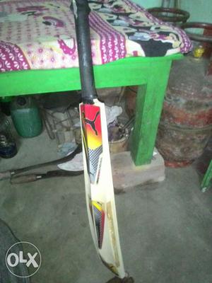 Brand new cricket bat for leather ball and cambis