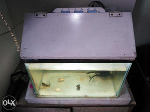 Complete Fish Aquarium with cover top, filter