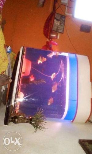 Fish Tank With White Plastic Frame