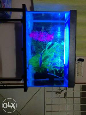 Fish tank full set stand and water proof light