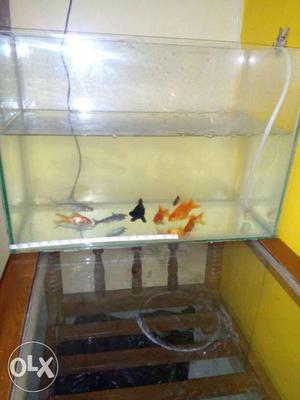 Fish tank with 8 fish & oxygen set,Led lights