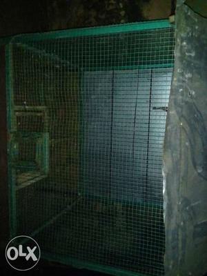 Green Steel Bird Cage