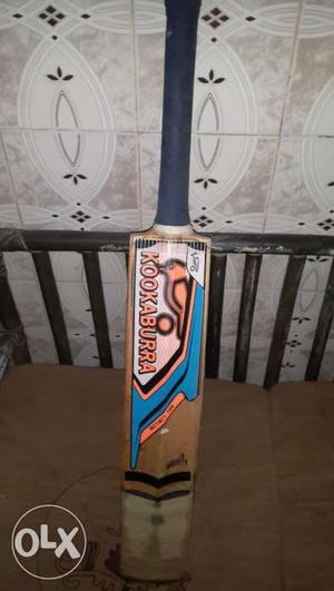 Kookaburra English Willow Cricket Bat in good condition