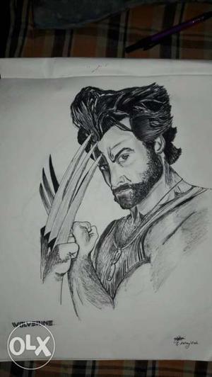 Logan The Wolverine Sketch