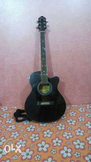 New acoustic guitar,1month old.. hertz guitar with