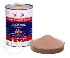 OSI Gold Ring Brine Shrimp Eggs (Artemia) 25 Grams