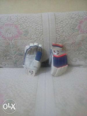 Pair Of White And Blue Ice Hockey Gloves