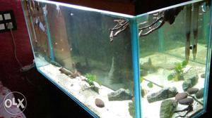 Want to sell my new aquarium tank size length 4ft