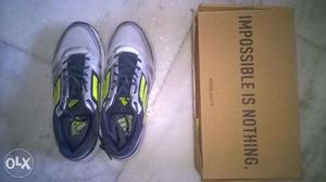 Adidas Running Shoes (U.K. size9)
