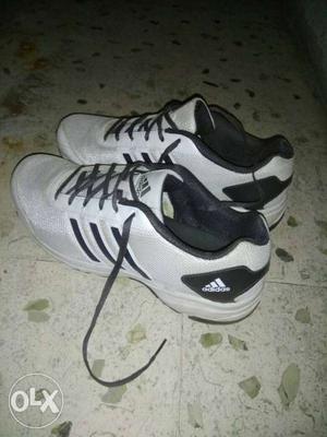 New Addidas Shoes Used For Just 3 Days Only After