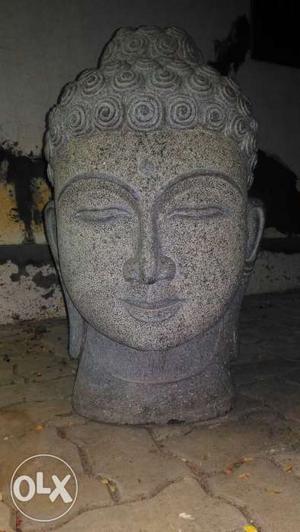 Two feet hight,granite Budha head
