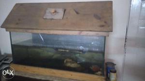 Aquarium with Wooden Base and Top Cover