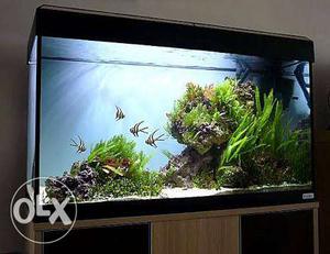 Aquariums of all kind