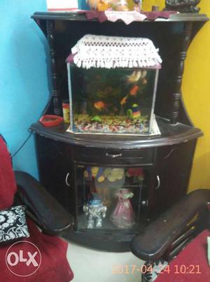 Fish aquarium with 9 fish and all accessories and