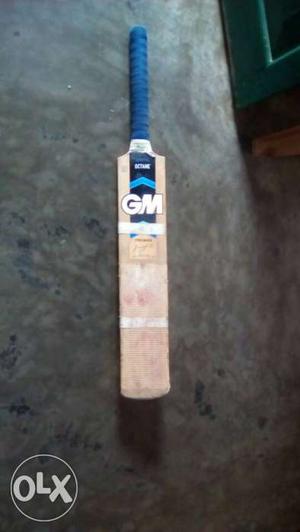 Brown And Blue GM Cricket Bat