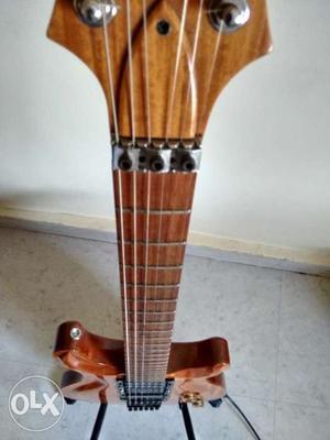 Erisa Neogy custom guitar