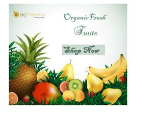 Organic Fruits Online Gurgaon