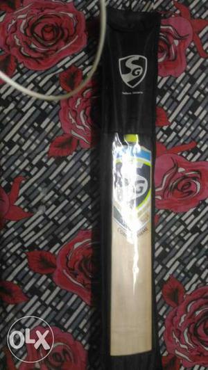 SG cricket bat English willow player edition