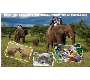 Fully Customised Jim Corbett National Park Tour Packages New