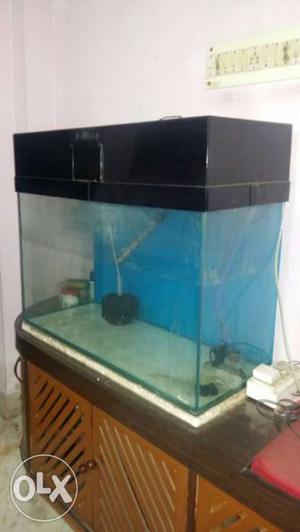 2.5 ft aquarium for sale