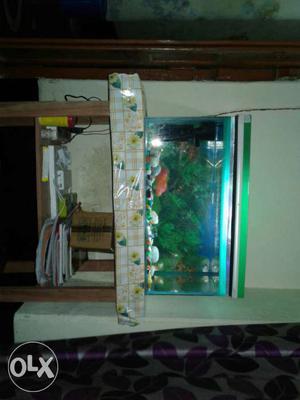 2 Feet Aquarium With Stones For Sell