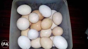 Chicken eggs- Naadan 8 per egg shornoour