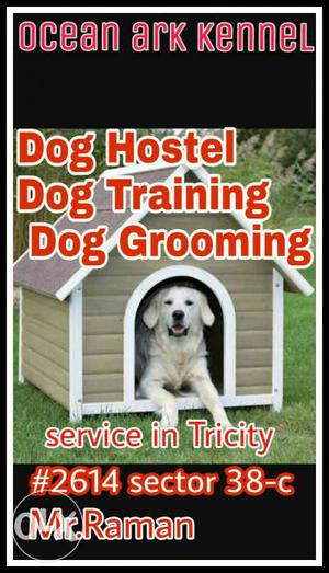 Dog hostel fecelities available